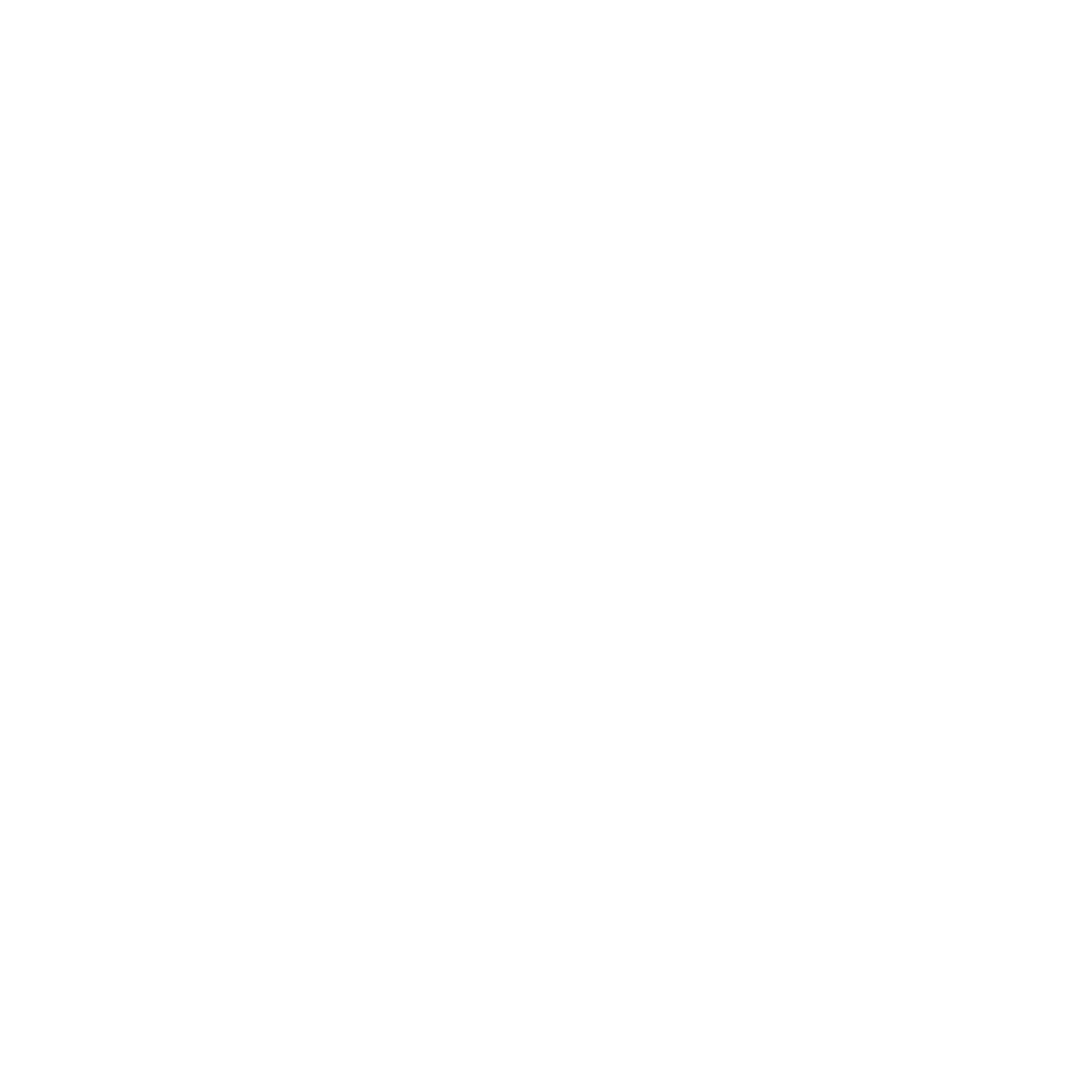 Nicamerica Import Corp.